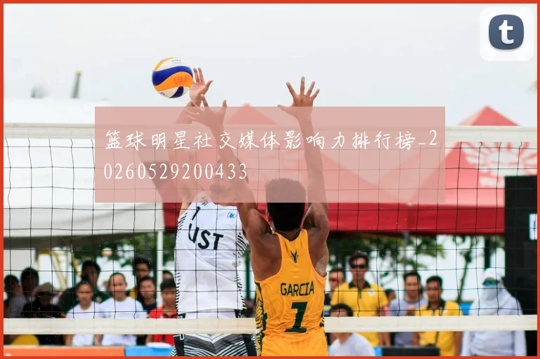 篮球明星社交媒体影响力排行榜_20260529200433